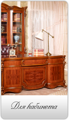 Шторы для кабинета